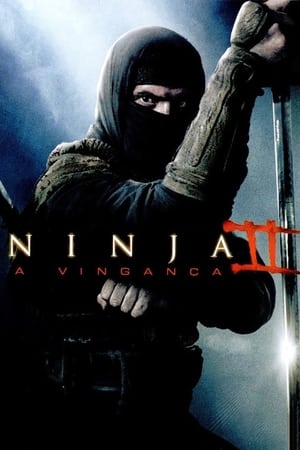 Poster Ninja 2 - A Vingança 2013