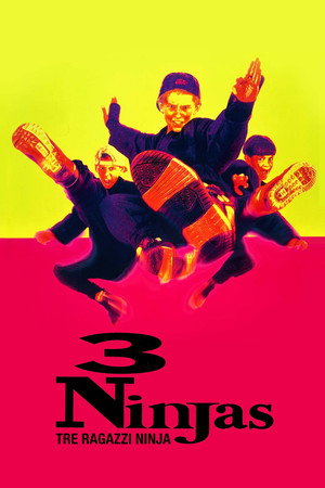 3 Ninjas 42