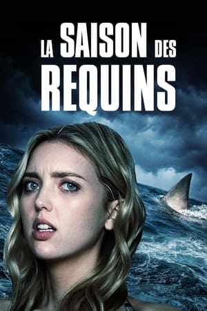 Poster La Saison des Requins 2020