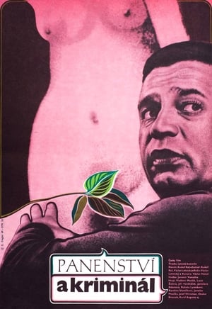 Poster Panenství a kriminál 1970