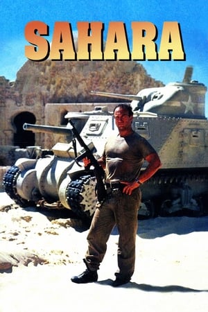 Poster Sahara 1995