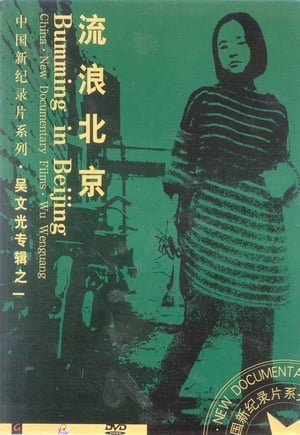 Poster di 流浪北京