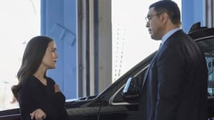 The Blacklist: 8×20