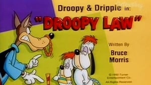 Tom & Jerry Kids Show Droopy Law