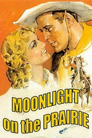 Image Moonlight on the Prairie