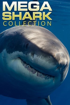 Mega Shark Collection poster Mega Shark Collection