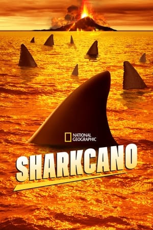 Image Sharkcano