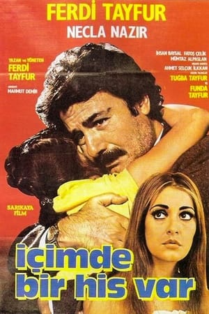 İçimde Bir His Var poster