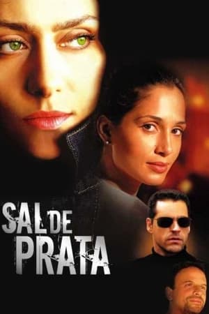 Poster Sal de Prata 2005
