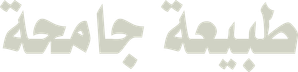 Indomable — Logos 8