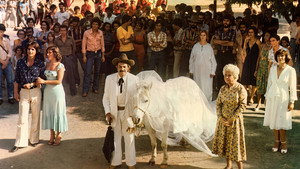 O Jeca e a Égua Milagrosa 2