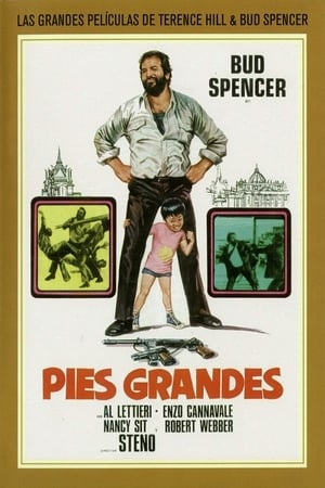 Poster Pies grandes 1975