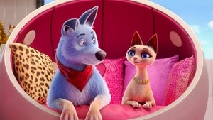 Pets United : L’union fait la force (2019)