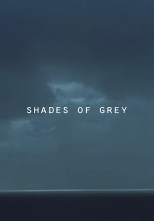 Shades of Grey (2014)