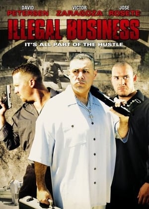 Poster Illegal Business (2006)