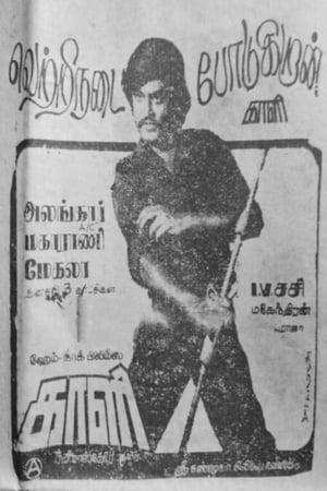 Poster Kaali 1980