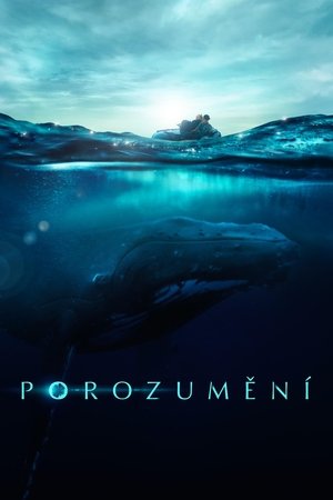 Porozumění