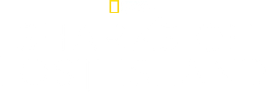 Sharks of Lost Island