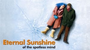 Eternal Sunshine of the Spotless Mind (2004)