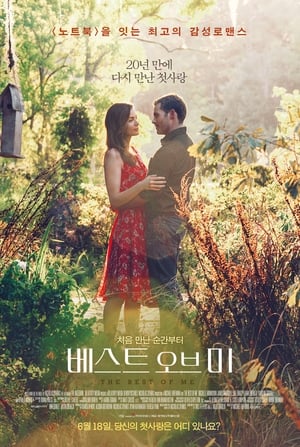 베스트 오브 미 (2014)