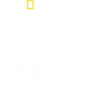 Quando os Tubarões Atacam 360°