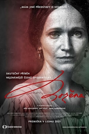 Božena - Show poster