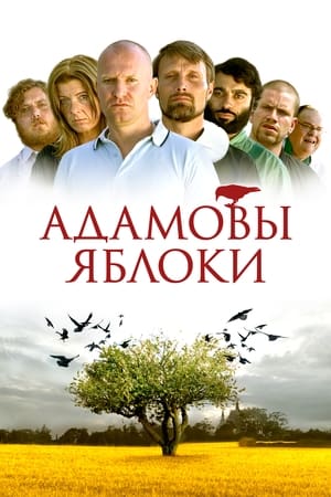 Poster Адамовы яблоки 2005