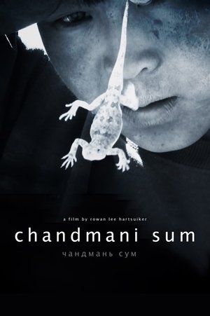 Chandmani Sum (2009)