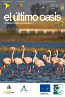 El último oasis