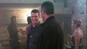 Chicago Fire Temporada 7 Capitulo 13