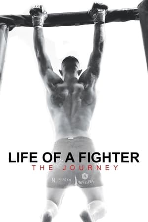 Poster Life of a Fighter: The Journey (2021)