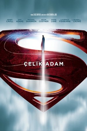 Poster Çelik Adam 2013