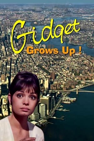 Poster Gidget Grows Up (1969)