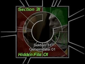 Image Section 31: Hidden File 01 (S07)