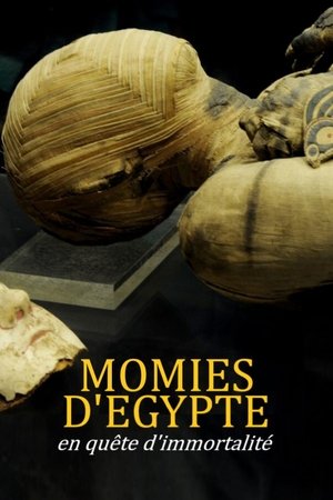 Image Momies d'Egypte, en quête d'immortalité