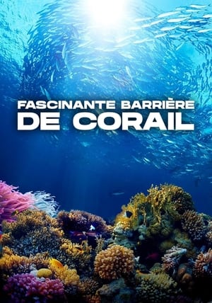 Image Fascinante barrière de corail