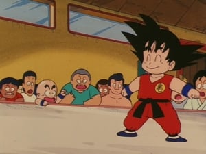 Dragon Ball Season 1 Episode 20