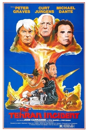 Poster Missile X: The Neutron Bomb Incident (1979)