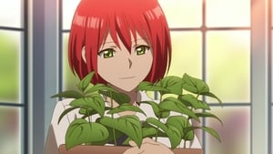 Akagami no Shirayuki-hime: 1×13