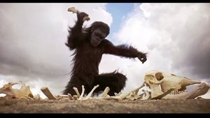Images posters