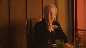 Familiar Touch (2025)