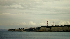 Secret of the Forest