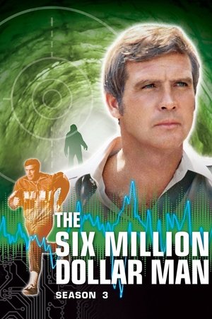 Der sechs Millionen Dollar Mann: Staffel 3