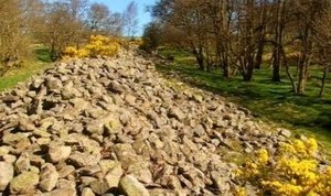 Image Hamsterley, County Durham - Five Thousand Tons Of Stone