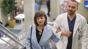 Grey’s Anatomy 12 x Episodio 16