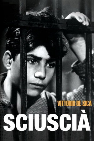 Shoeshine 50