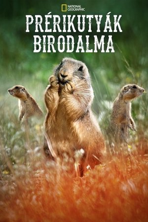 Image Prérikutyák birodalma