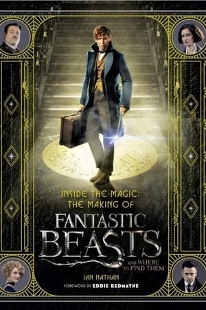 Fantastic Beasts and J.K Rowling's Wizarding World (2016) | Team Personality Map