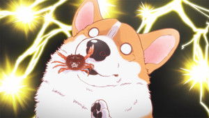 The Corgi and the Samurai: 1×11