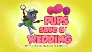 PAW Patrol Pups Save a Wedding